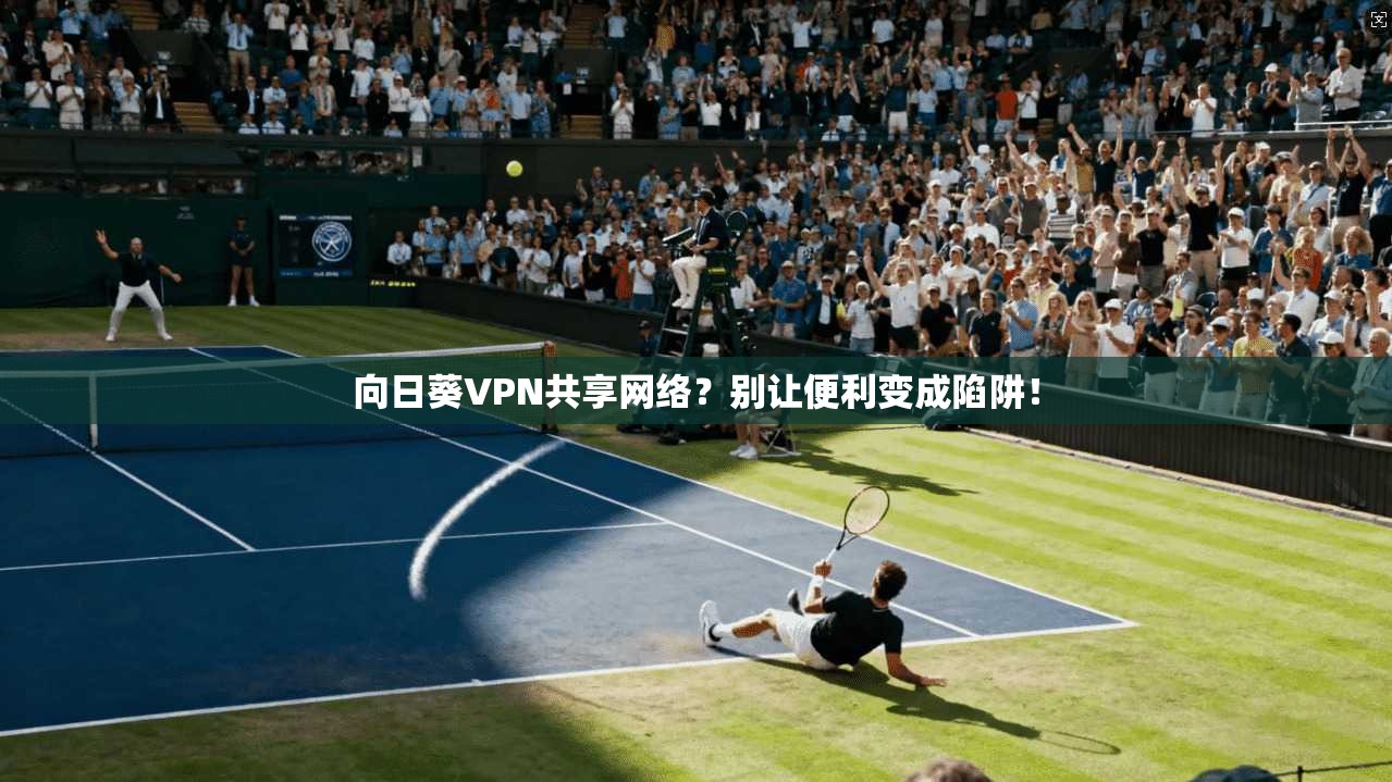向日葵VPN共享网络？别让便利变成陷阱！