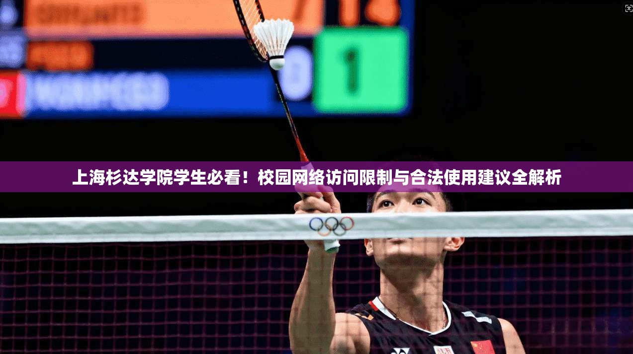 上海杉达学院学生必看!校园网络访问限制与合法使用建议全解析