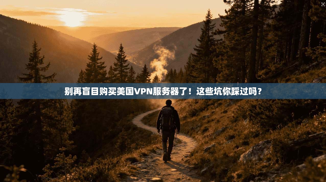 别再盲目购买美国VPN服务器了！这些坑你踩过吗？