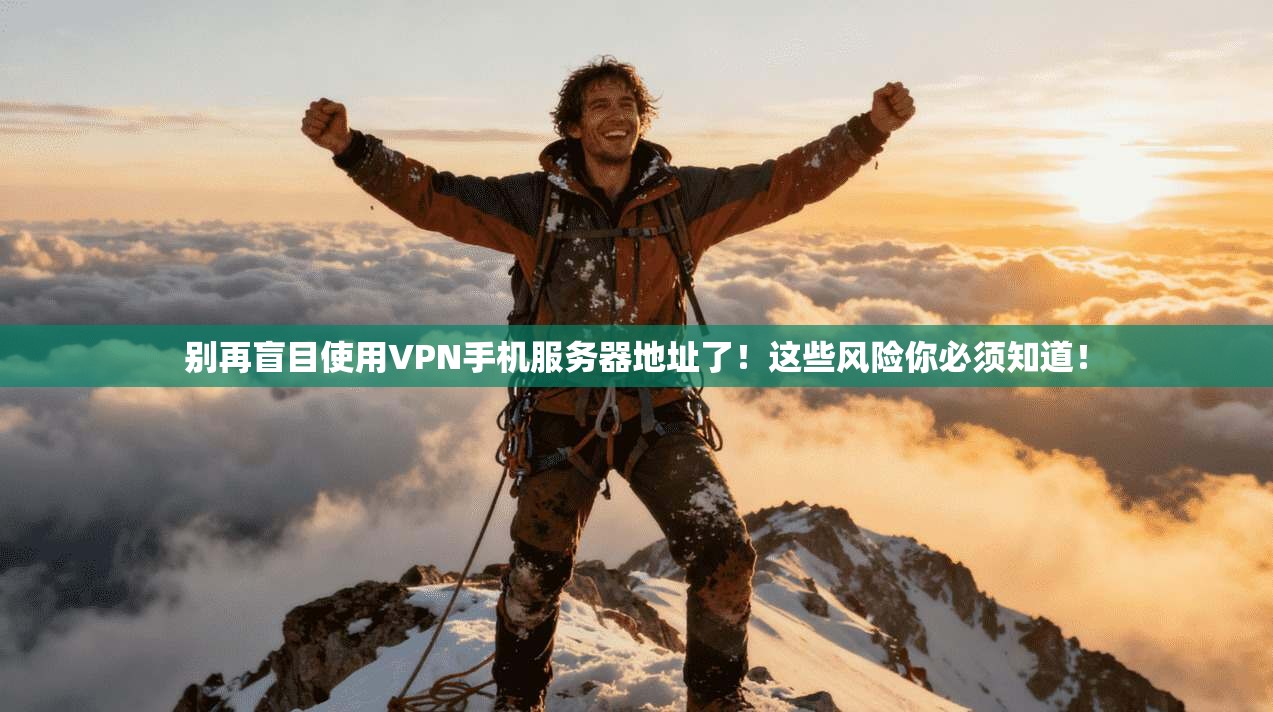 别再盲目使用VPN手机服务器地址了!这些风险你必须知道!