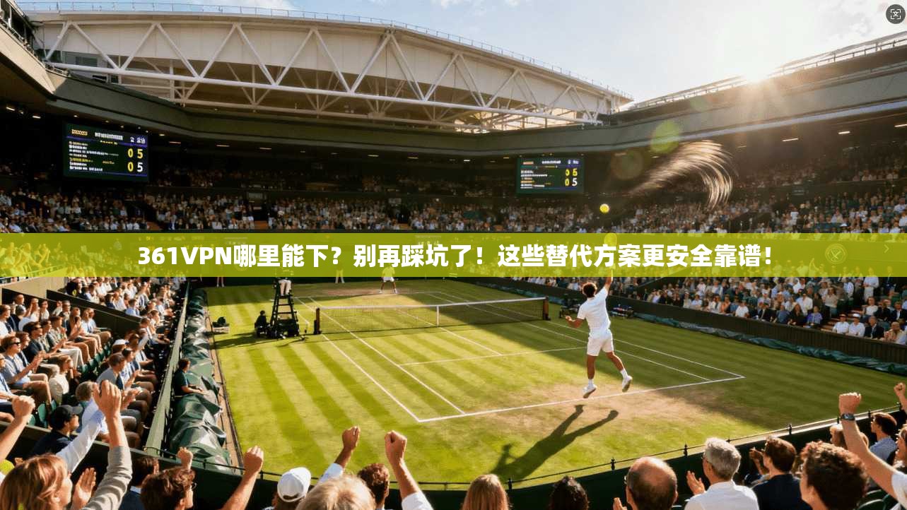 361VPN哪里能下?别再踩坑了!这些替代方案更安全靠谱!