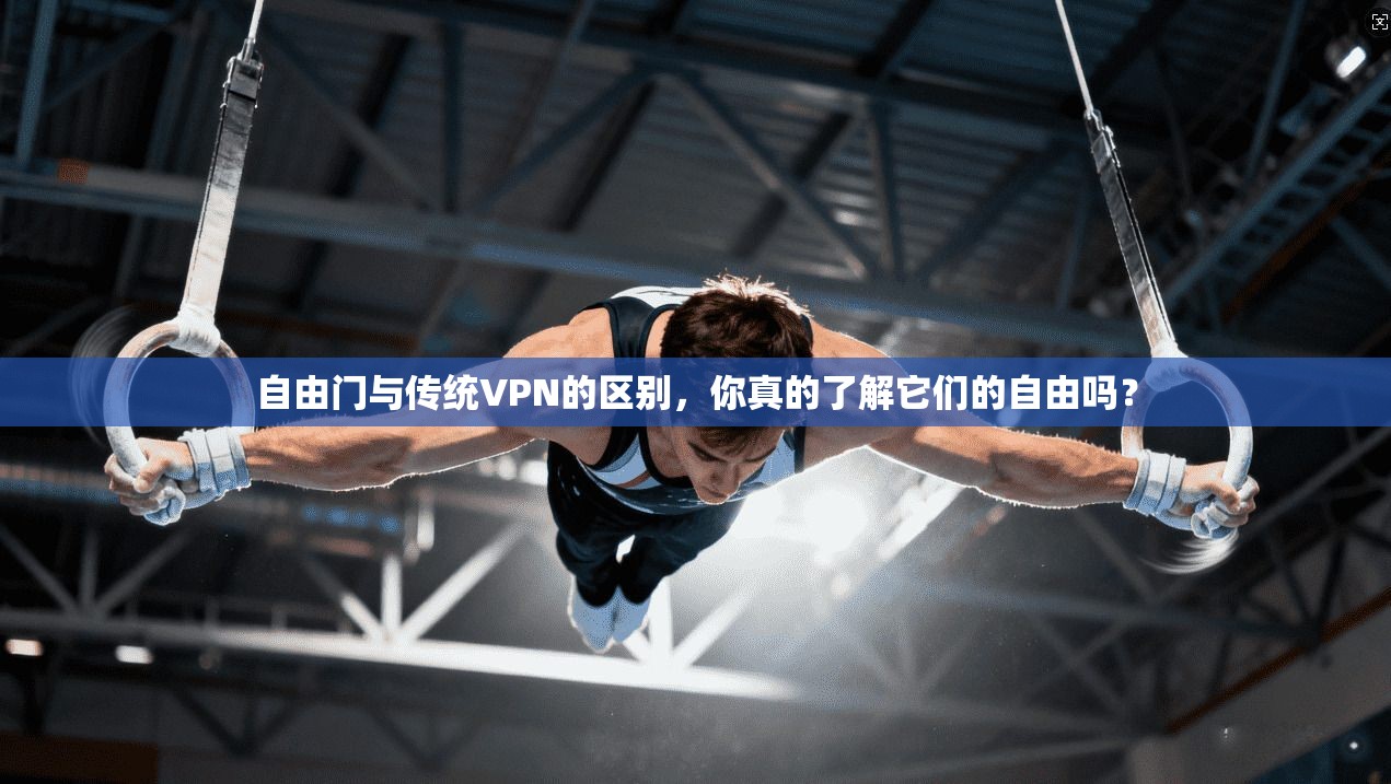 自由门与传统VPN的区别,你真的了解它们的自由吗?