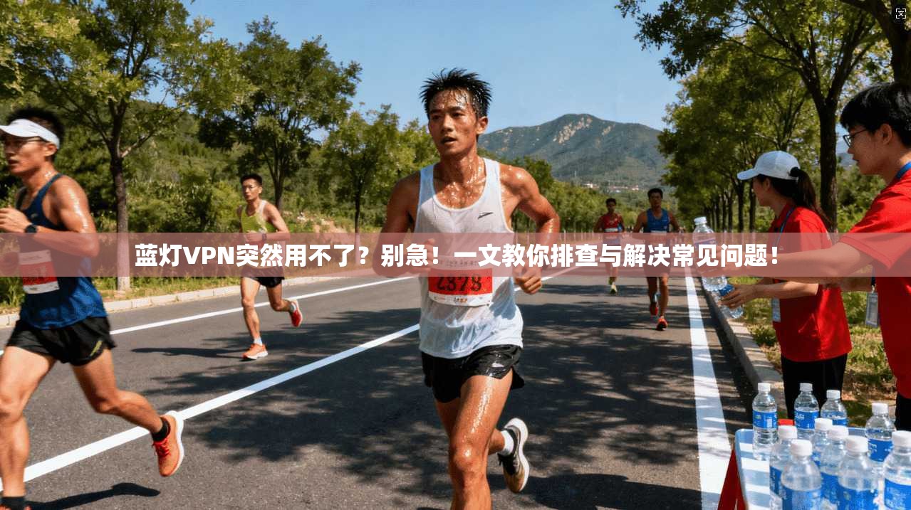 蓝灯VPN突然用不了?别急!一文教你排查与解决常见问题!