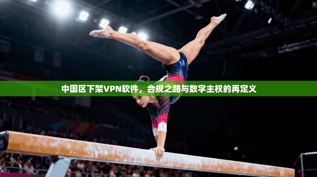 中国区下架VPN软件,合规之路与数字主权的再定义