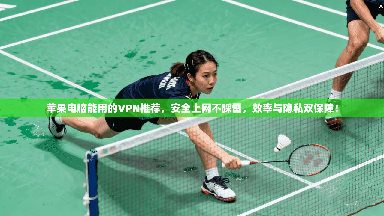 苹果电脑能用的VPN推荐,安全上网不踩雷,效率与隐私双保障!