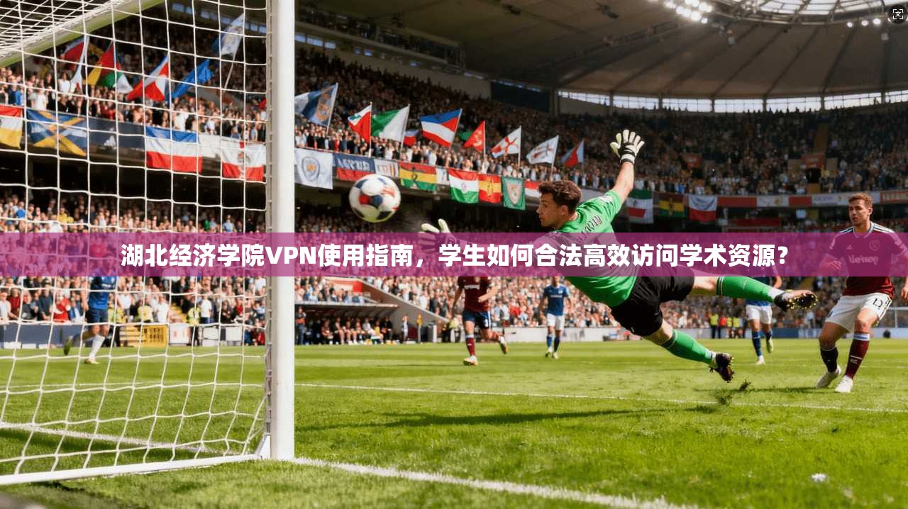 湖北经济学院VPN使用指南，学生如何合法高效访问学术资源？
