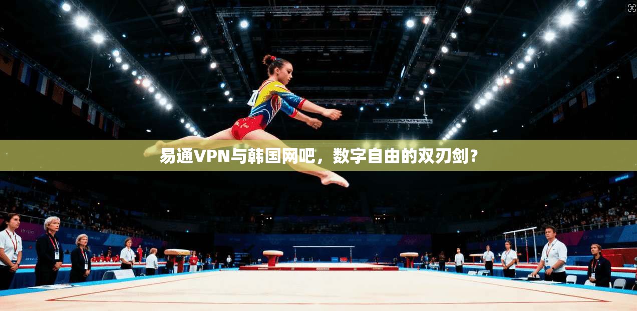 易通VPN与韩国网吧，数字自由的双刃剑？