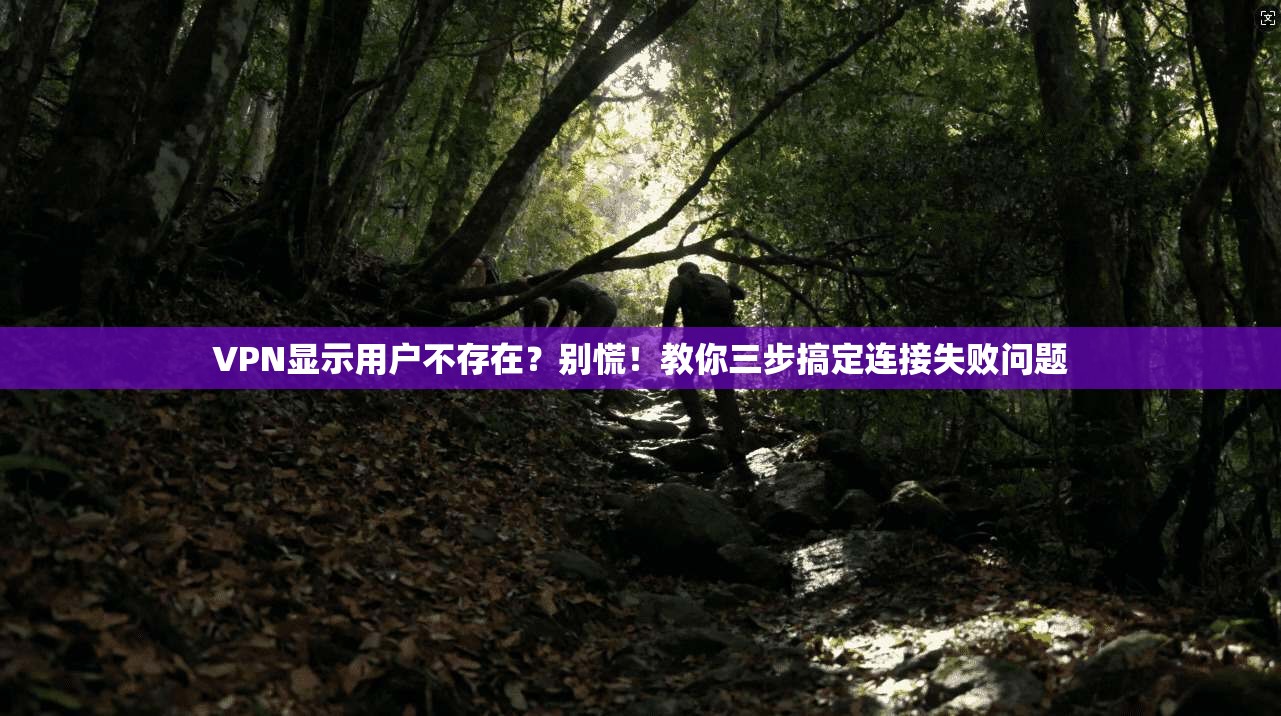 VPN显示用户不存在？别慌！教你三步搞定连接失败问题