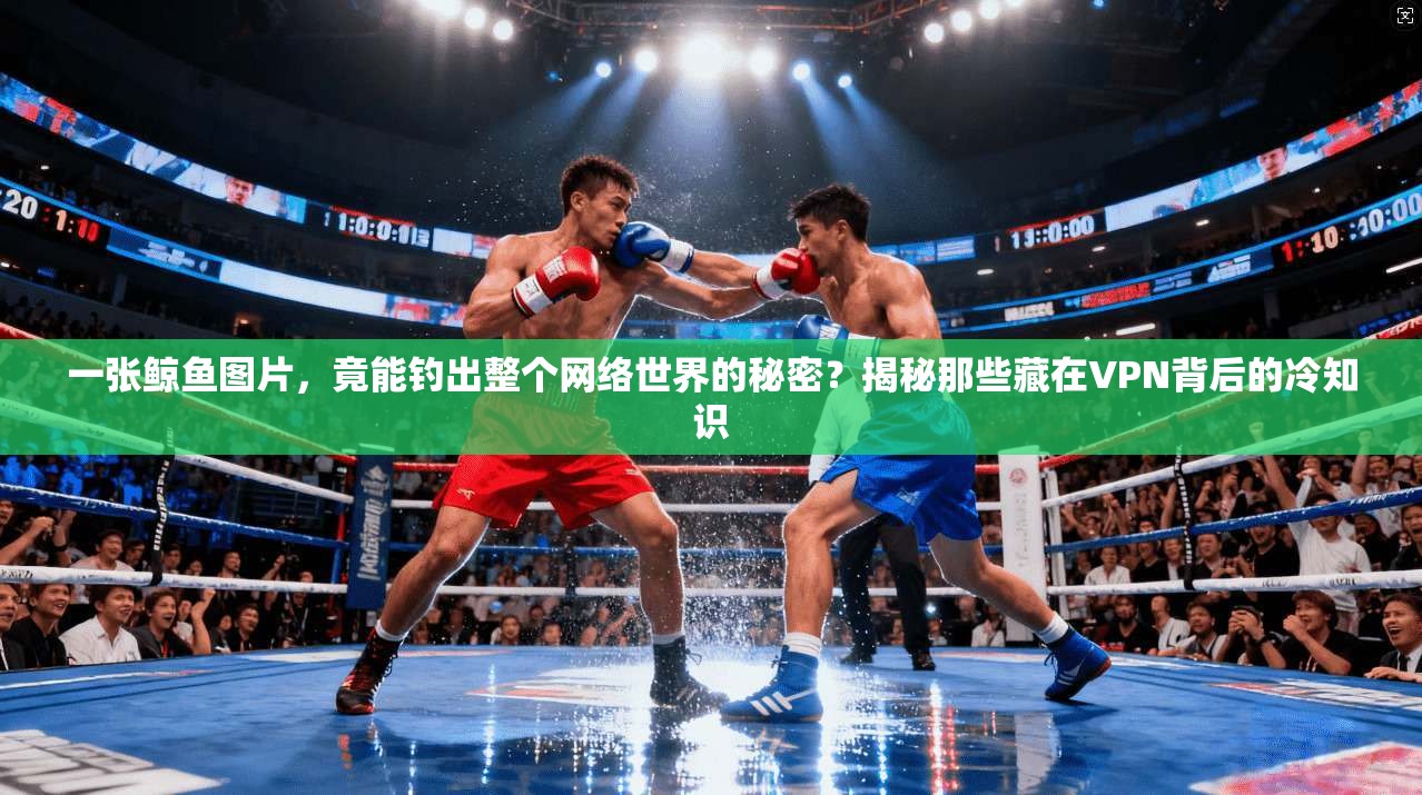 一张鲸鱼图片，竟能钓出整个网络世界的秘密？揭秘那些藏在VPN背后的冷知识