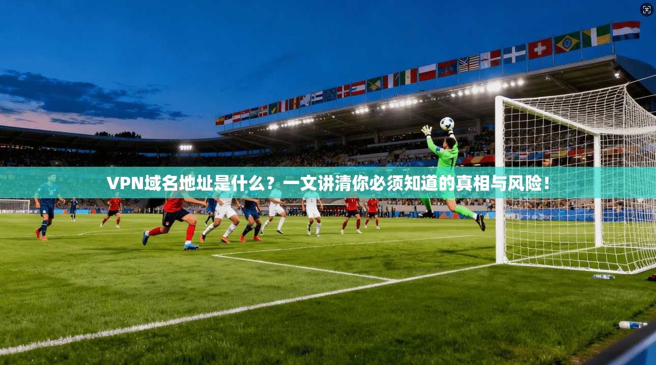 VPN域名地址是什么？一文讲清你必须知道的真相与风险！