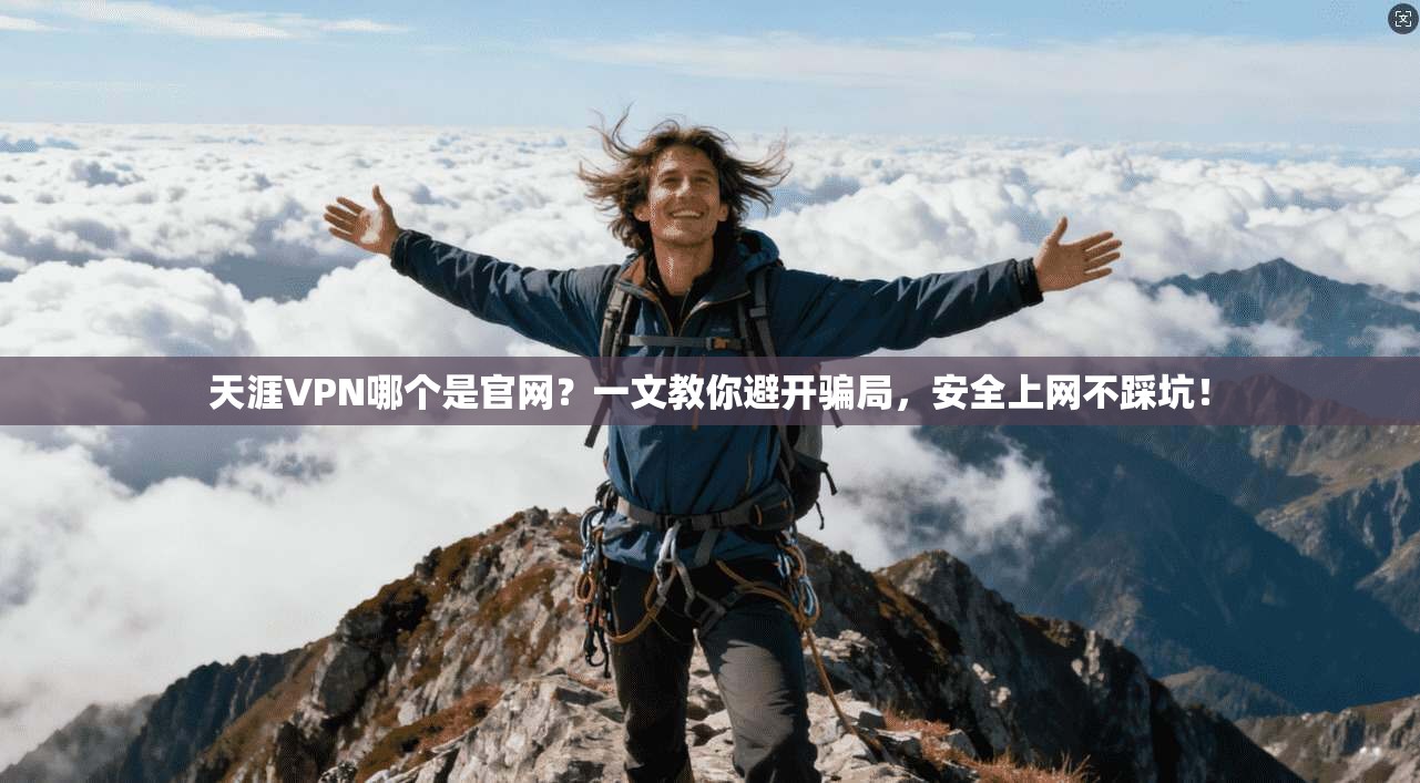 天涯VPN哪个是官网？一文教你避开骗局，安全上网不踩坑！