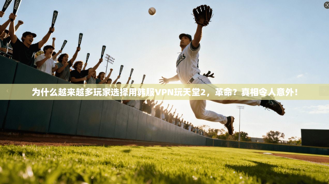 为什么越来越多玩家选择用韩服VPN玩天堂2，革命？真相令人意外！