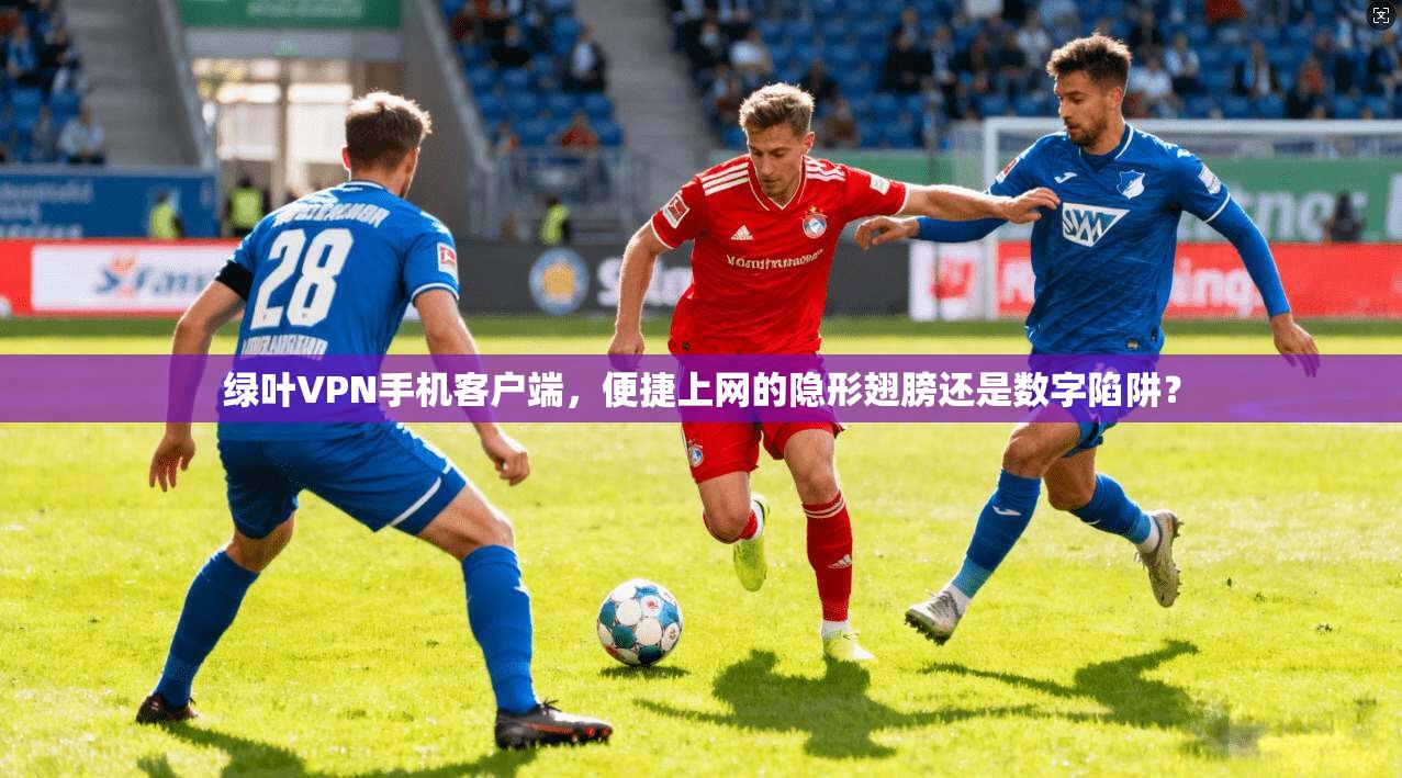 绿叶VPN手机客户端，便捷上网的隐形翅膀还是数字陷阱？