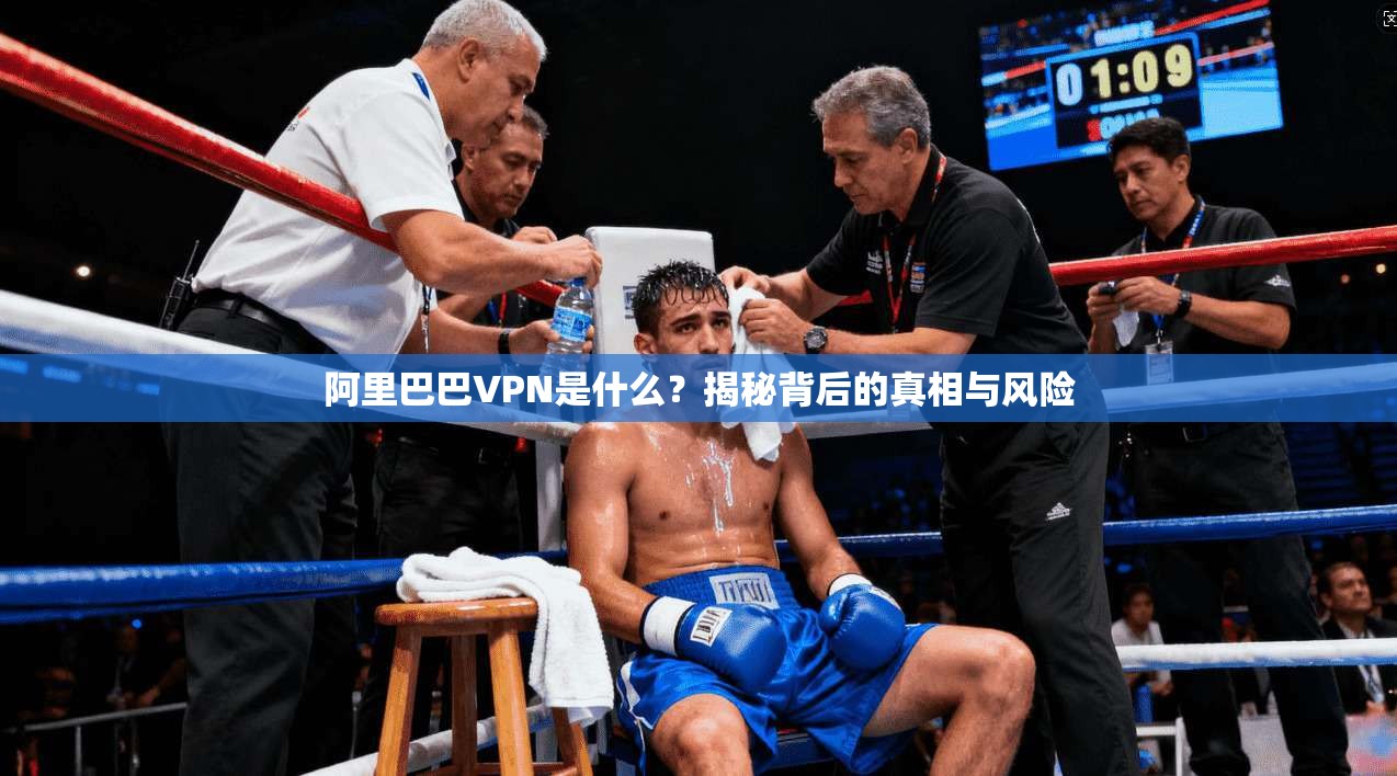 阿里巴巴VPN是什么？揭秘背后的真相与风险
