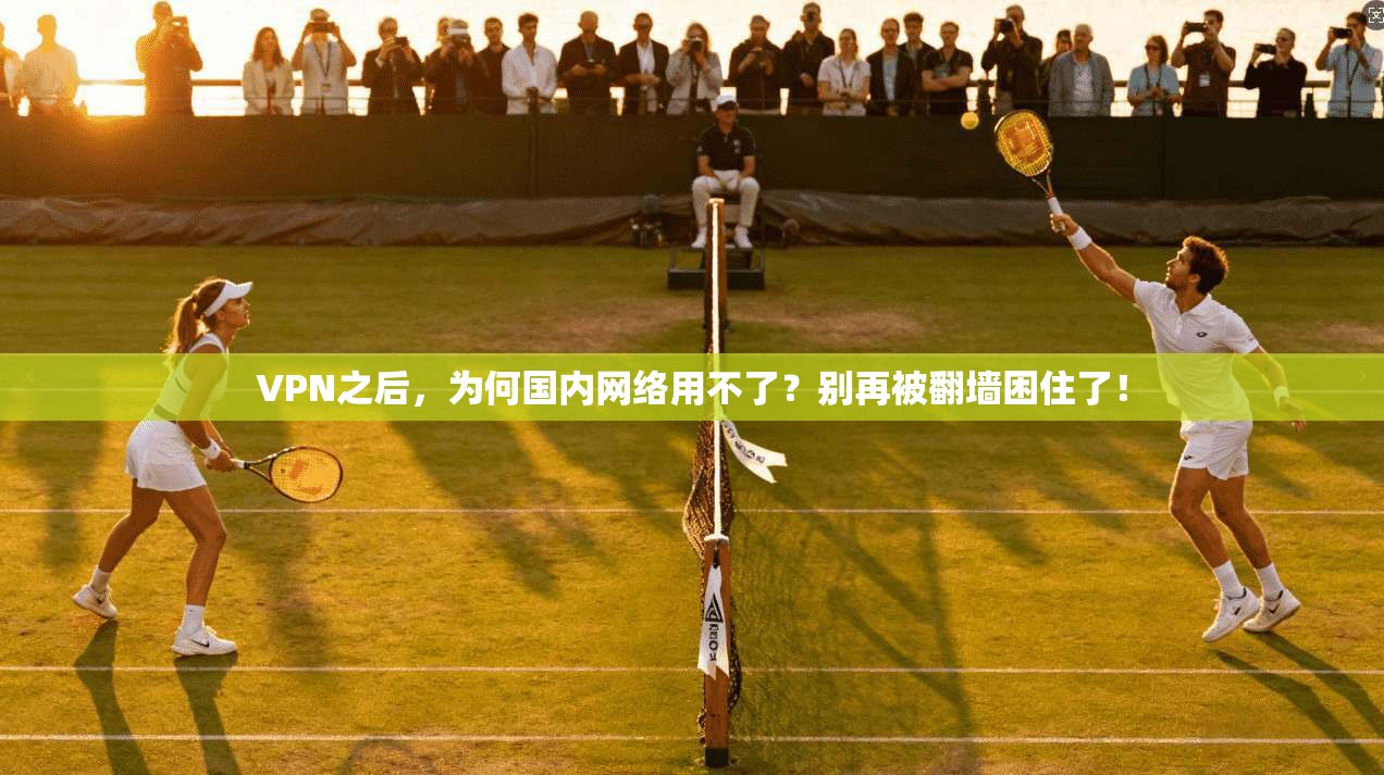 VPN之后,为何国内网络用不了?别再被翻墙困住了!