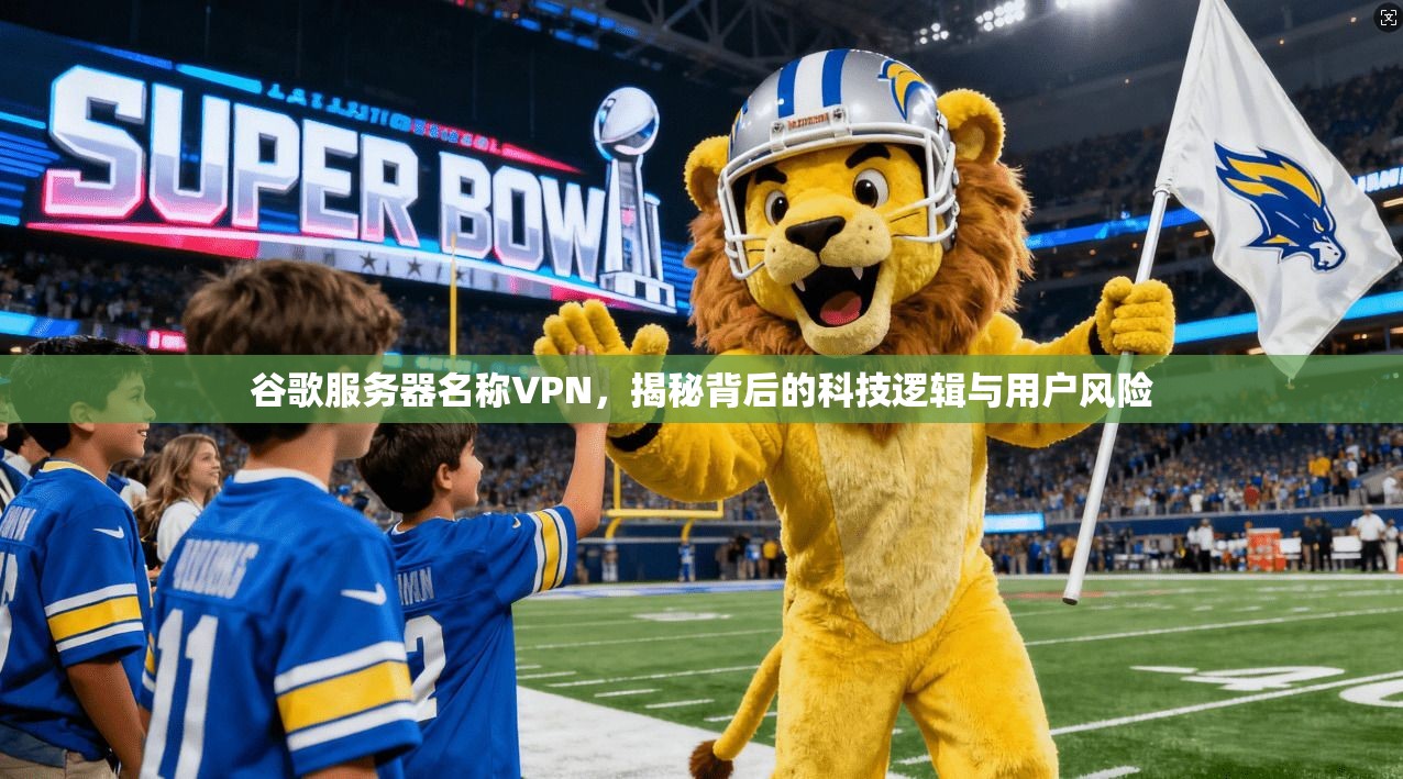 谷歌服务器名称VPN，揭秘背后的科技逻辑与用户风险