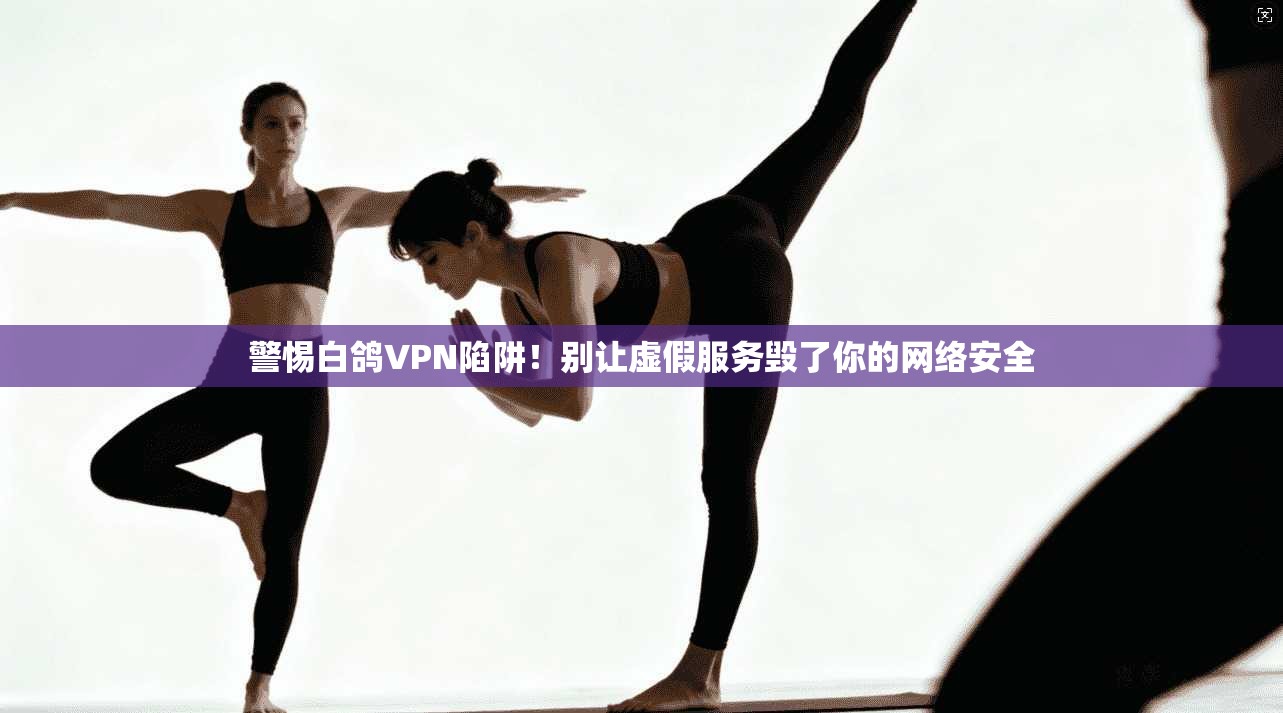 警惕白鸽VPN陷阱！别让虚假服务毁了你的网络安全