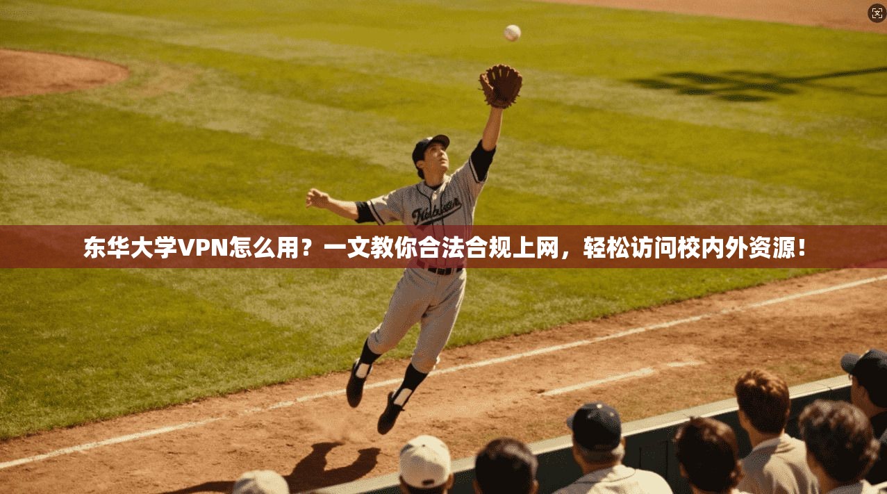 东华大学VPN怎么用?一文教你合法合规上网,轻松访问校内外资源!