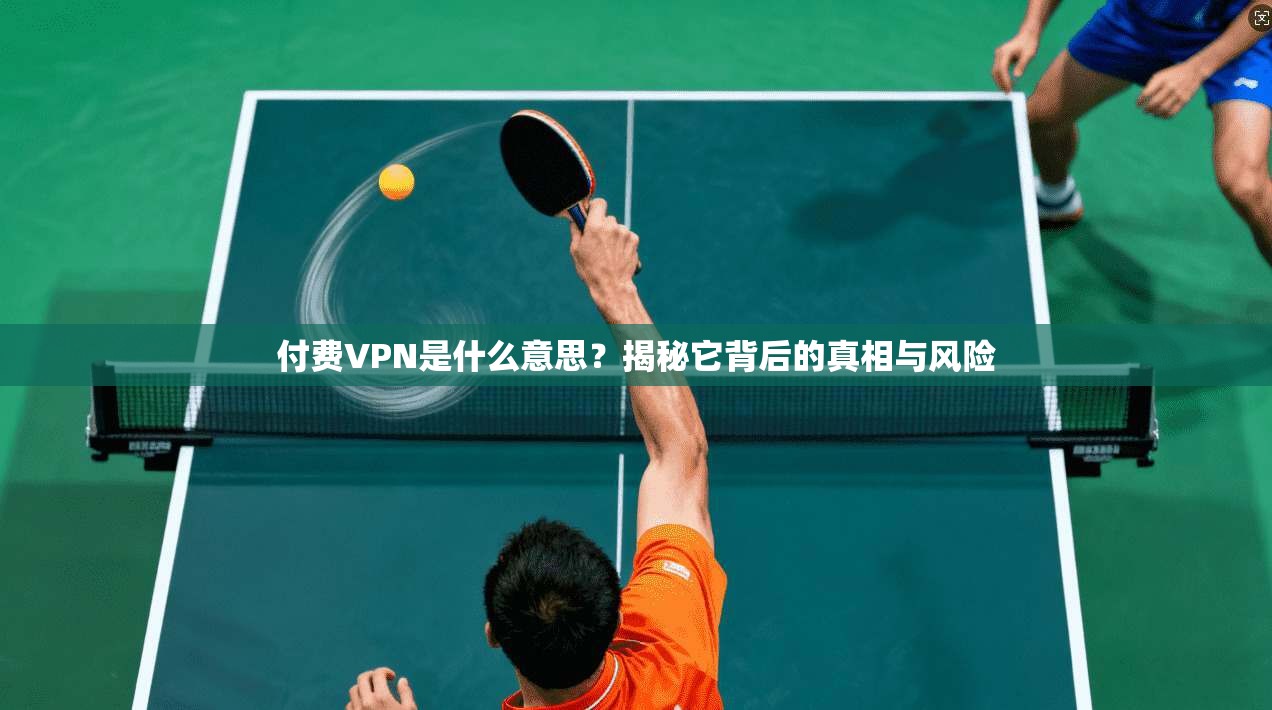 付费VPN是什么意思？揭秘它背后的真相与风险