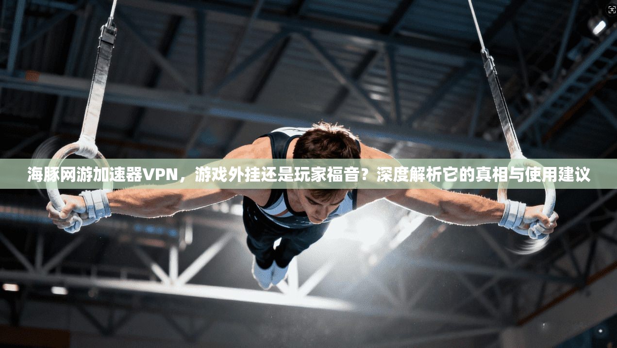 海豚网游加速器VPN,游戏外挂还是玩家福音?深度解析它的真相与使用建议
