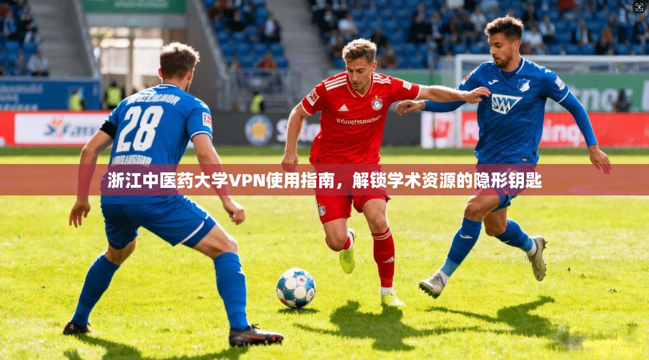 浙江中医药大学VPN使用指南，解锁学术资源的隐形钥匙
