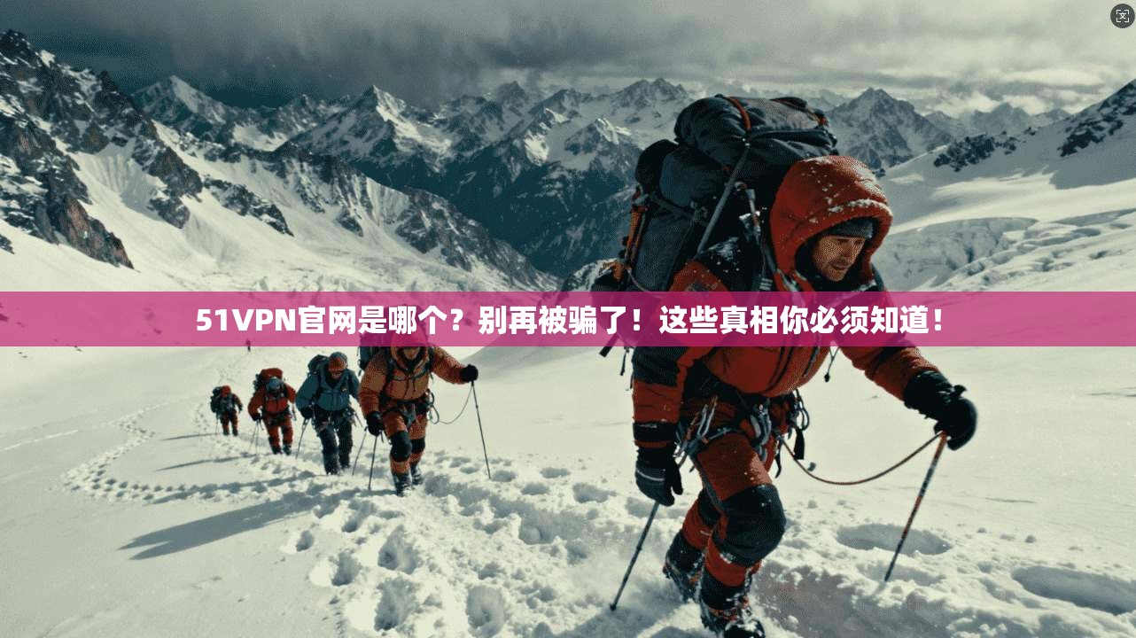51VPN官网是哪个?别再被骗了!这些真相你必须知道!