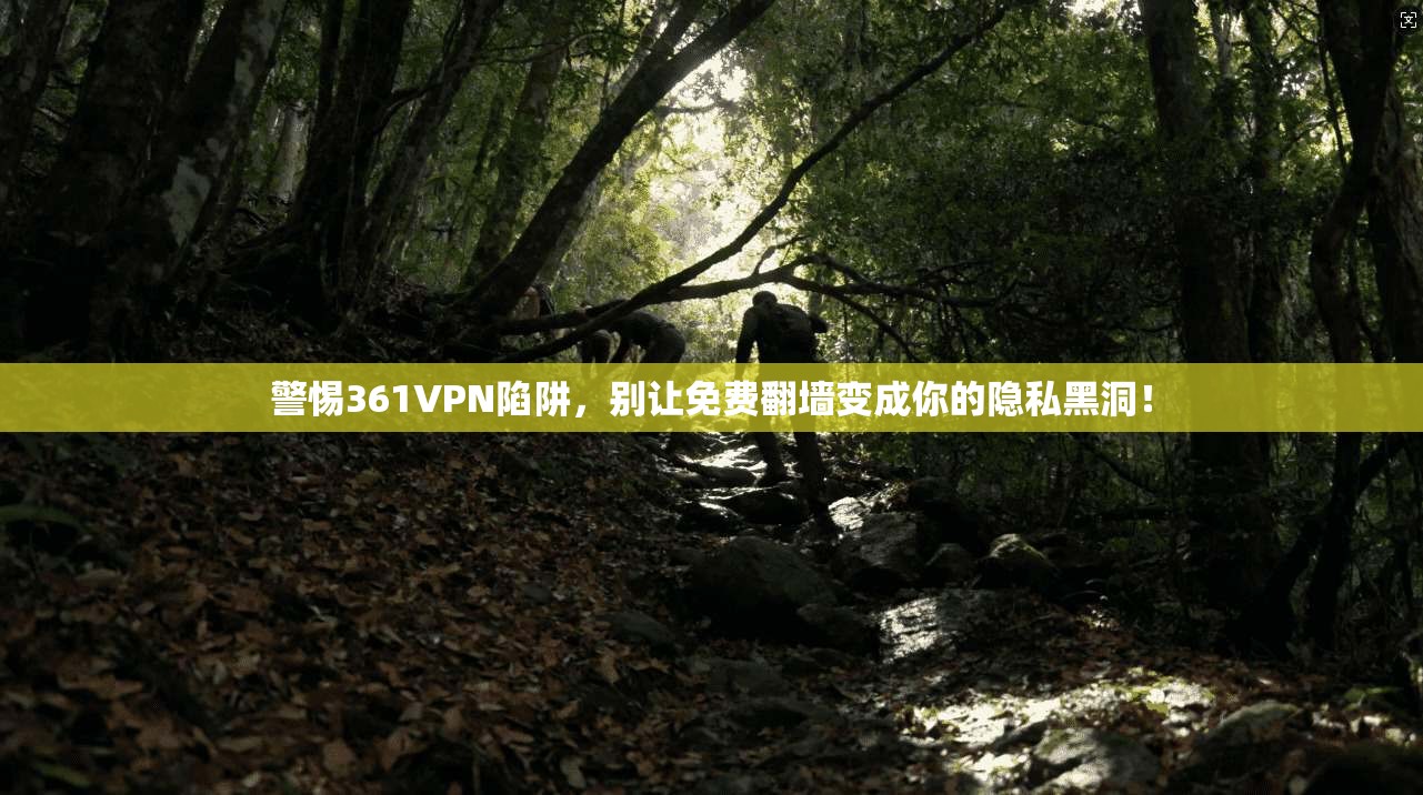 警惕361VPN陷阱,别让免费翻墙变成你的隐私黑洞!