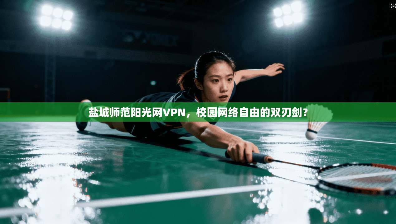 盐城师范阳光网VPN，校园网络自由的双刃剑？