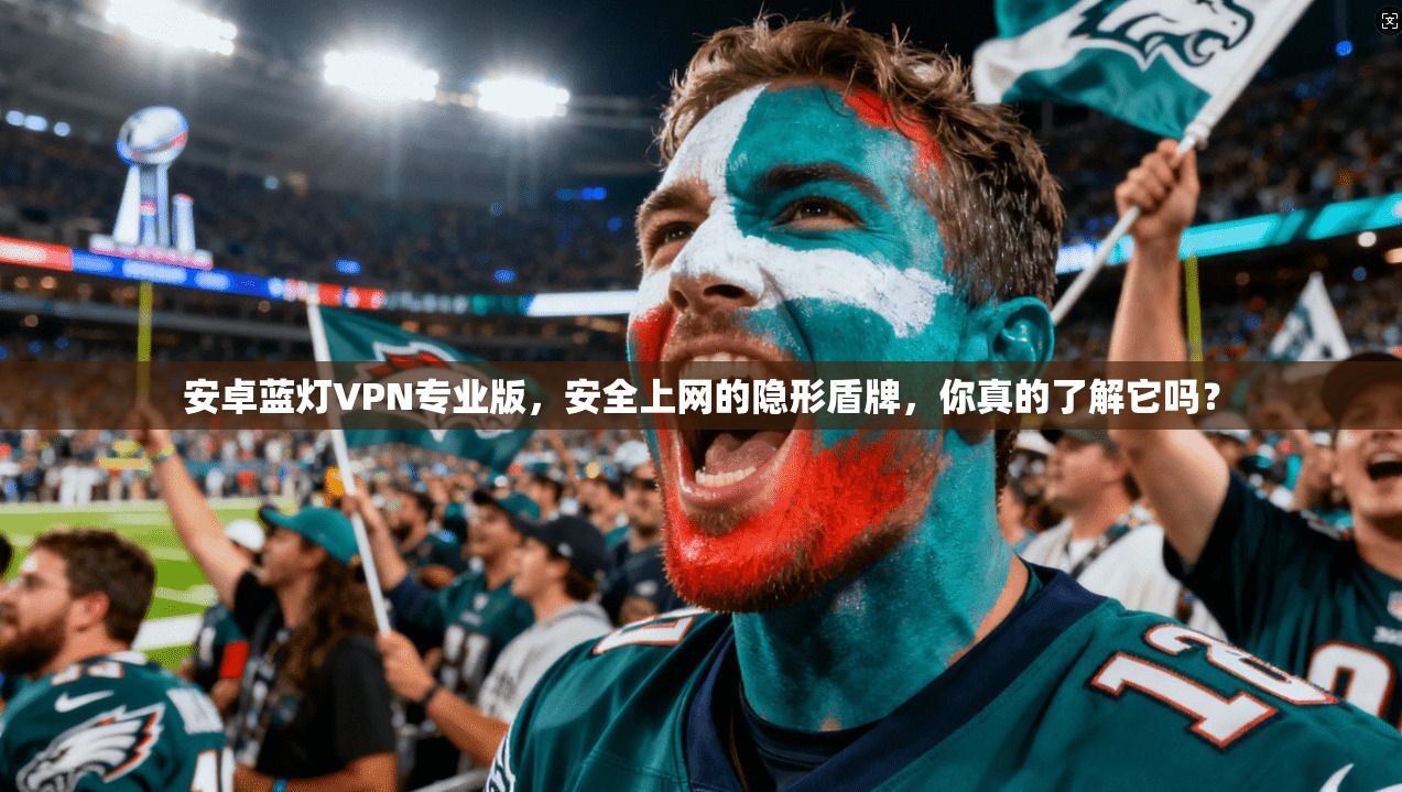 安卓蓝灯VPN专业版，安全上网的隐形盾牌，你真的了解它吗？