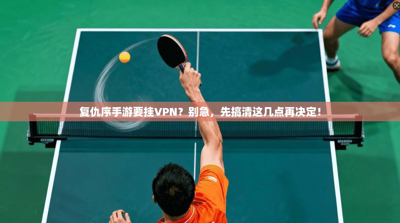 复仇序手游要挂VPN?别急,先搞清这几点再决定!