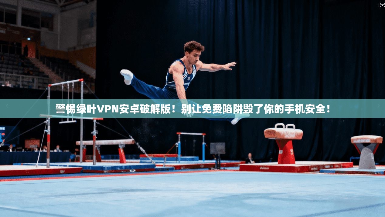 警惕绿叶VPN安卓破解版!别让免费陷阱毁了你的手机安全!
