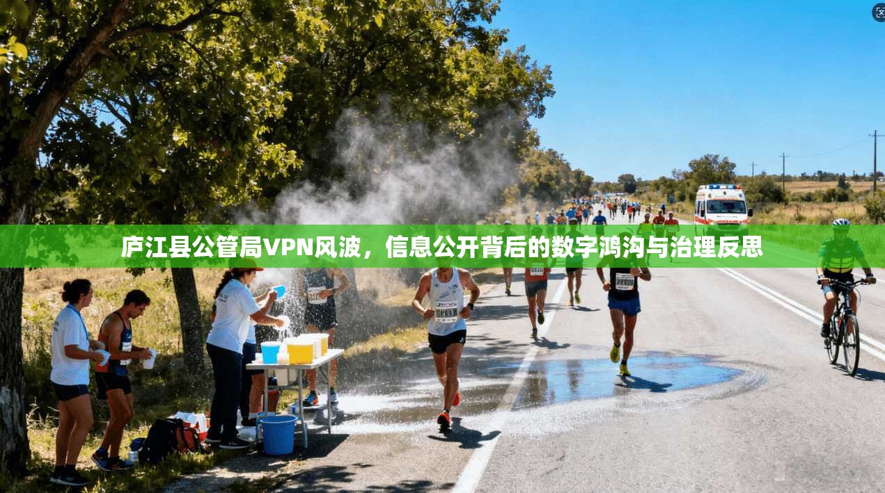 庐江县公管局VPN风波，信息公开背后的数字鸿沟与治理反思
