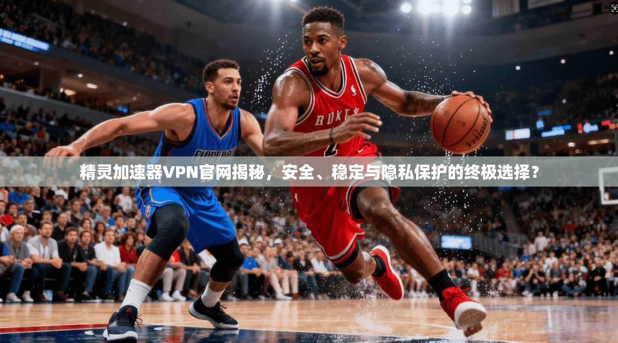 精灵加速器VPN官网揭秘,安全、稳定与隐私保护的终极选择?