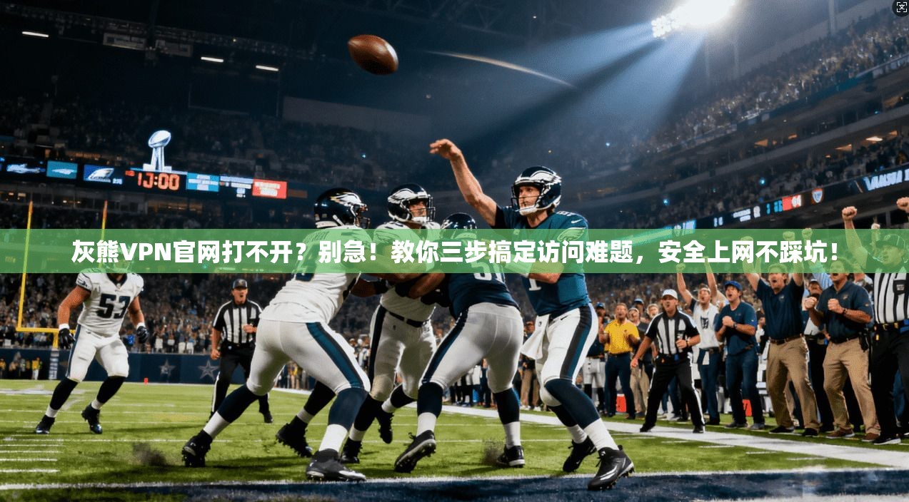 灰熊VPN官网打不开?别急!教你三步搞定访问难题,安全上网不踩坑!