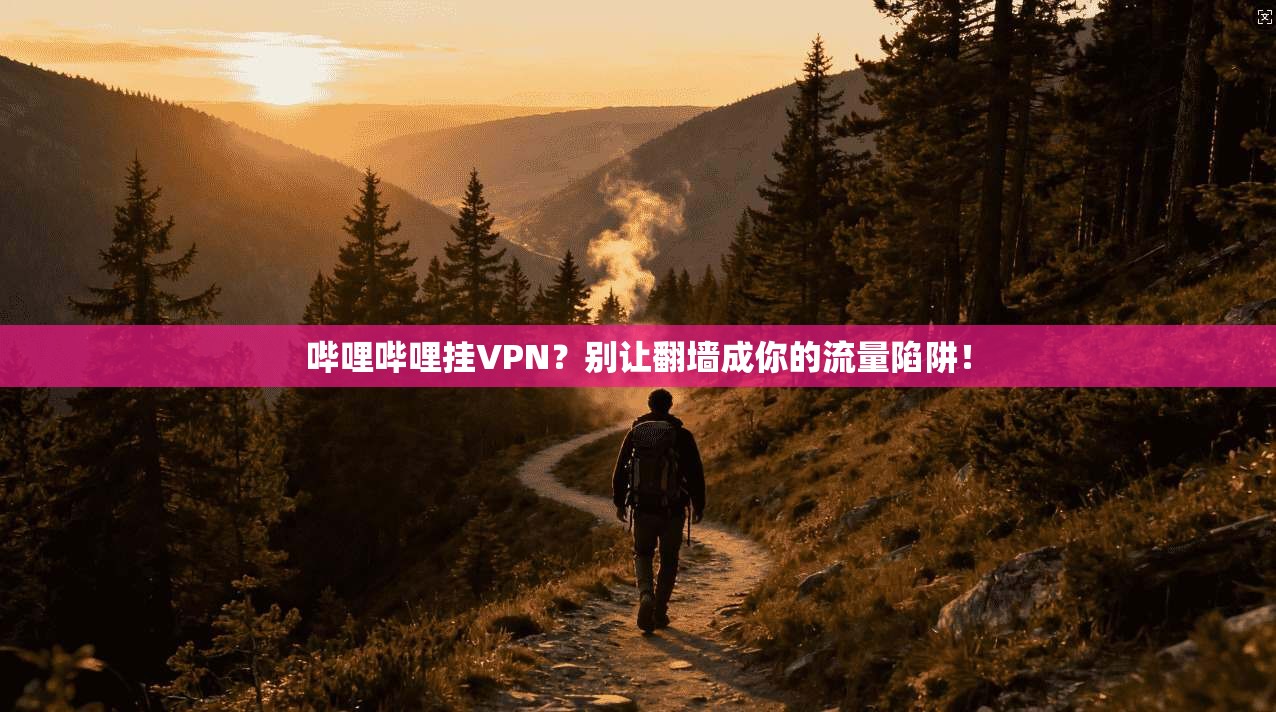 哔哩哔哩挂VPN？别让翻墙成你的流量陷阱！
