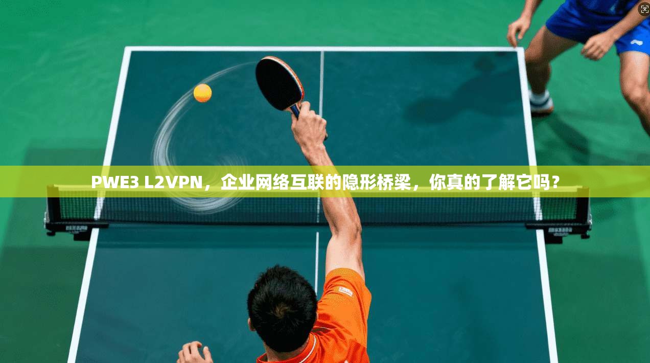 PWE3 L2VPN，企业网络互联的隐形桥梁，你真的了解它吗？