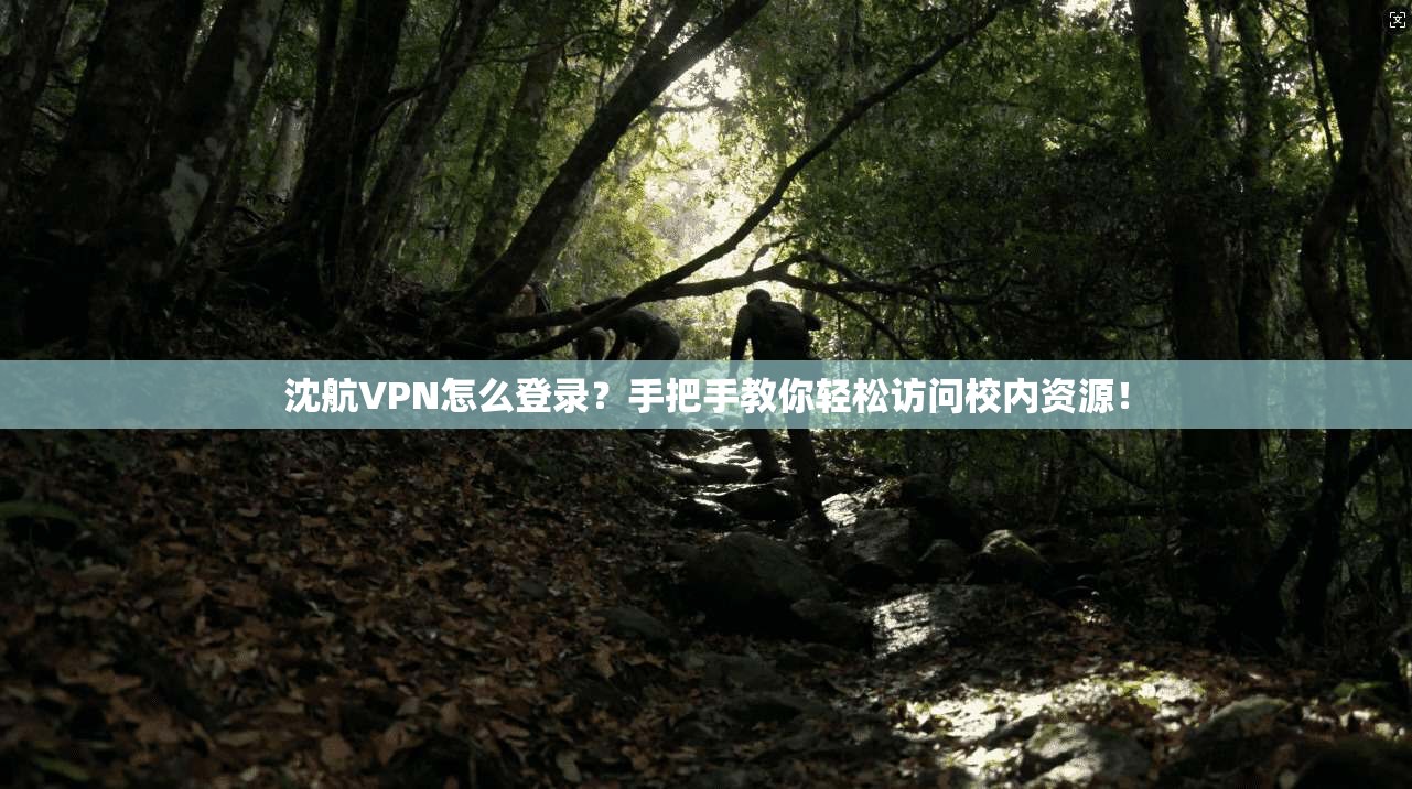 沈航VPN怎么登录？手把手教你轻松访问校内资源！