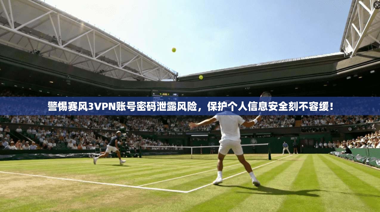 警惕赛风3VPN账号密码泄露风险，保护个人信息安全刻不容缓！
