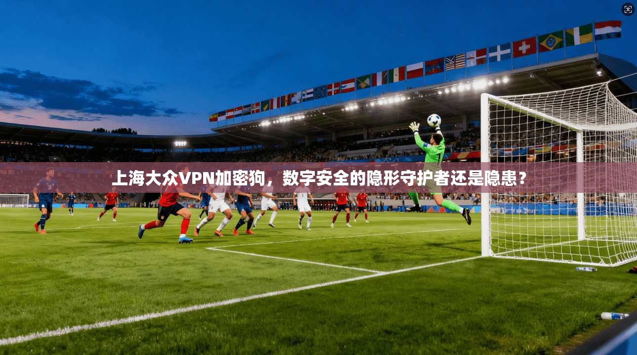 上海大众VPN加密狗,数字安全的隐形守护者还是隐患?