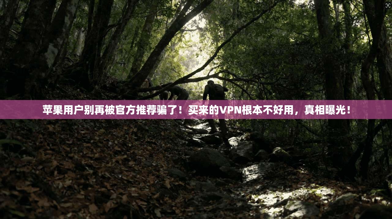 苹果用户别再被官方推荐骗了！买来的VPN根本不好用，真相曝光！