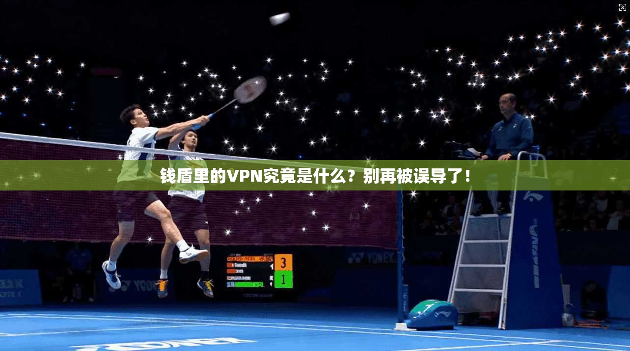 钱盾里的VPN究竟是什么?别再被误导了!