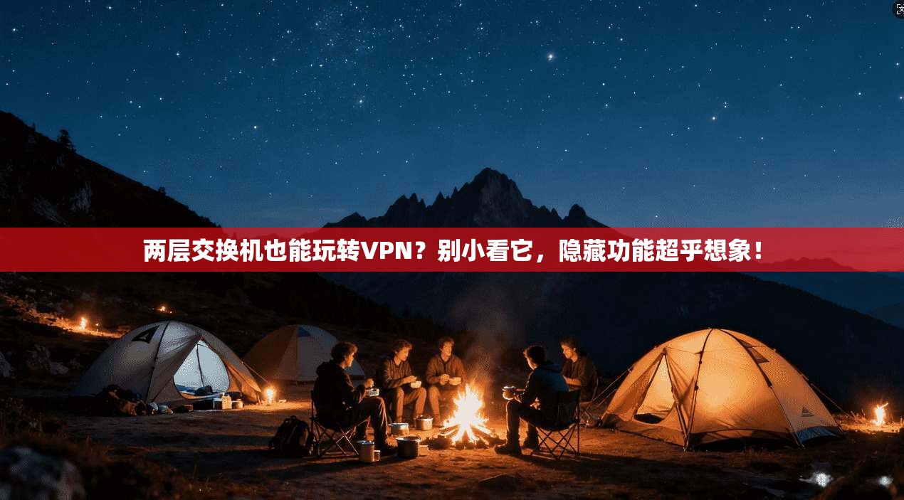 两层交换机也能玩转VPN？别小看它，隐藏功能超乎想象！