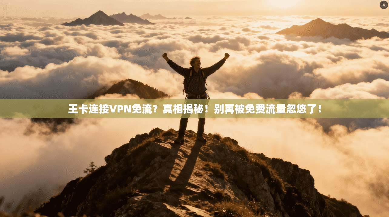 王卡连接VPN免流?真相揭秘!别再被免费流量忽悠了!