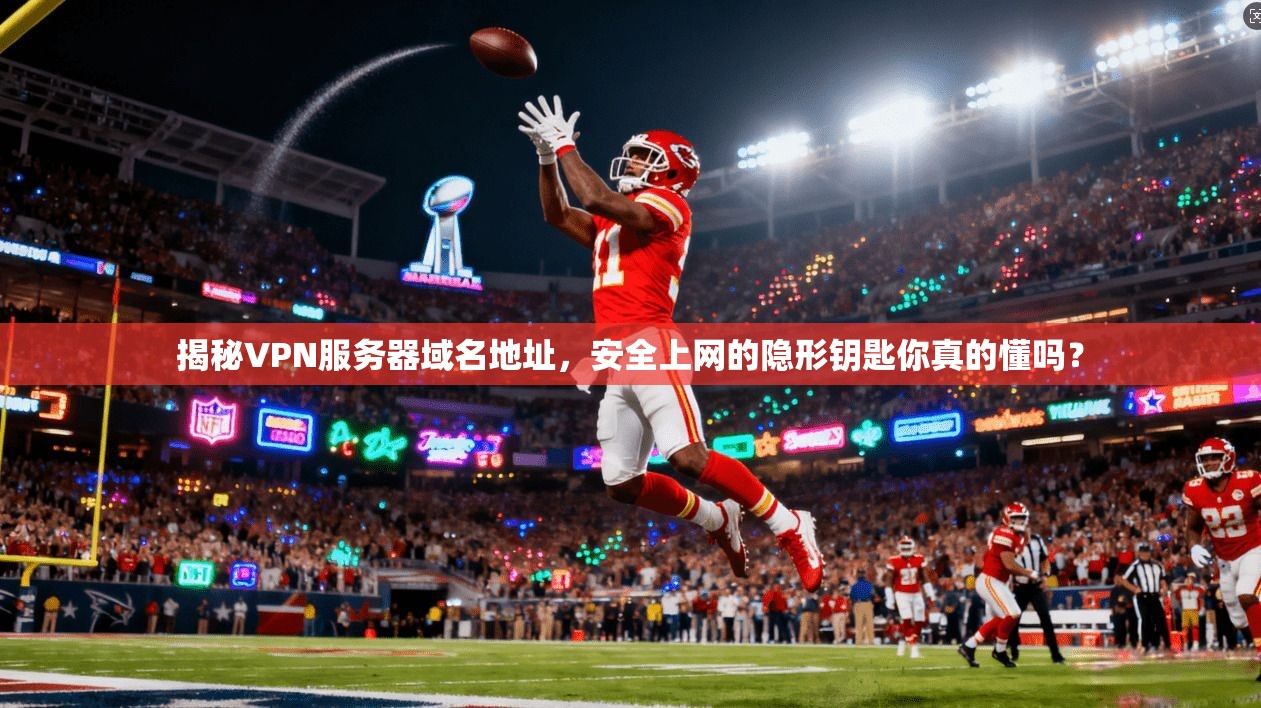 揭秘VPN服务器域名地址,安全上网的隐形钥匙你真的懂吗?