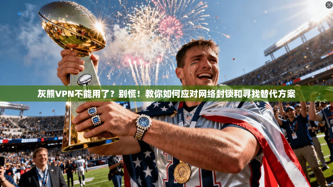 灰熊VPN不能用了?别慌!教你如何应对网络封锁和寻找替代方案