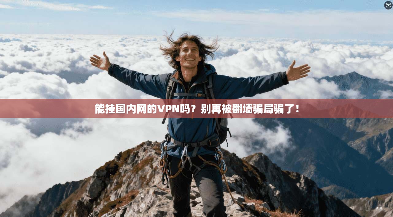 能挂国内网的VPN吗?别再被翻墙骗局骗了!
