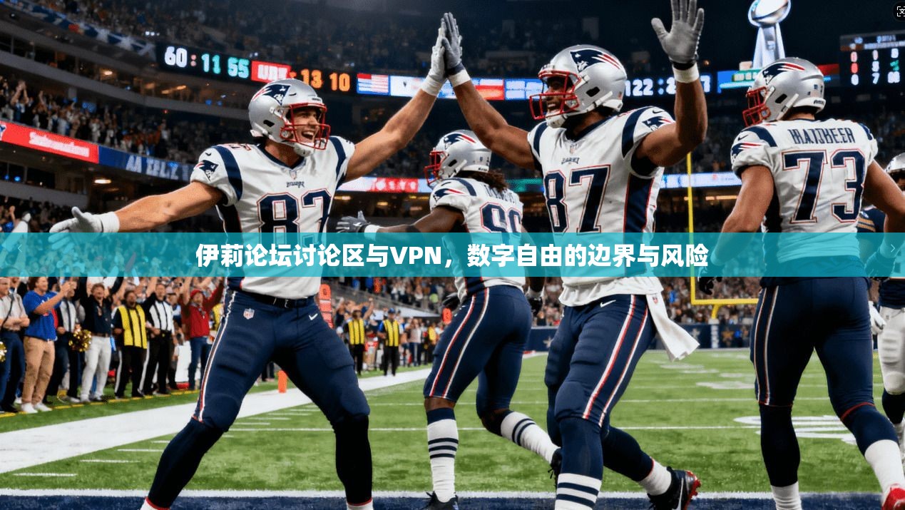 伊莉论坛讨论区与VPN，数字自由的边界与风险