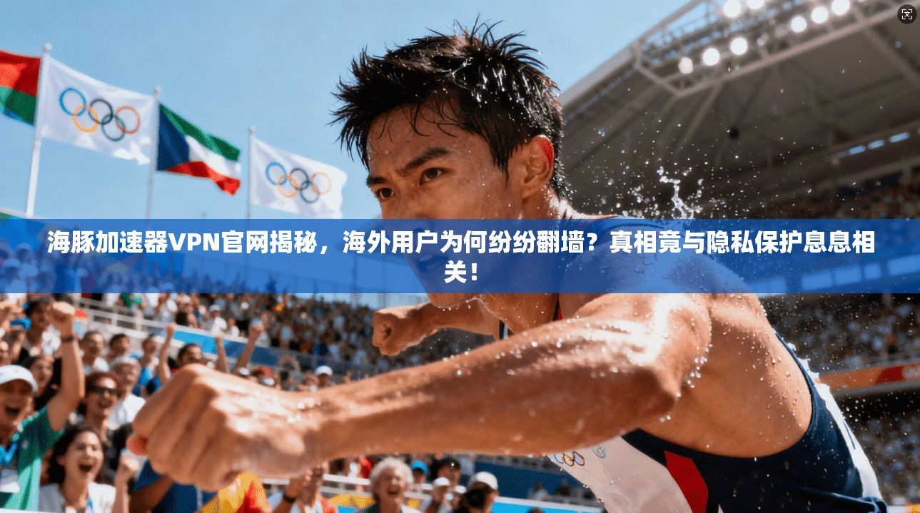 海豚加速器VPN官网揭秘,海外用户为何纷纷翻墙?真相竟与隐私保护息息相关!