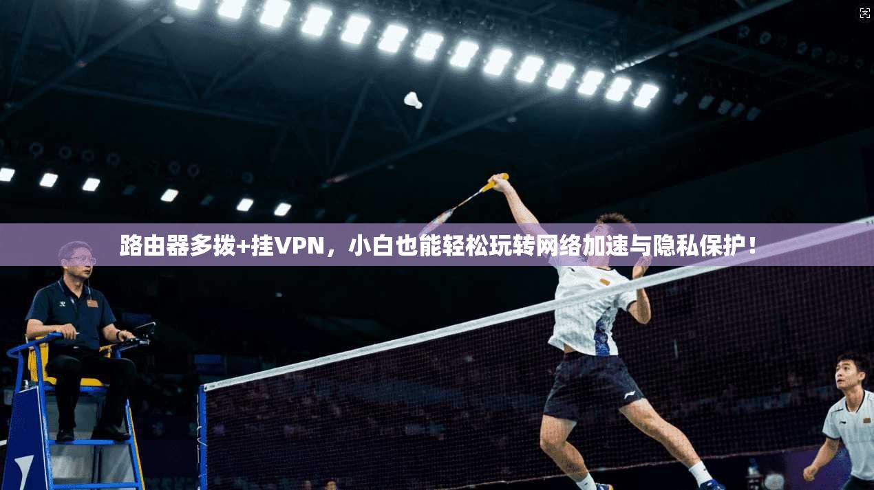 路由器多拨+挂VPN，小白也能轻松玩转网络加速与隐私保护！
