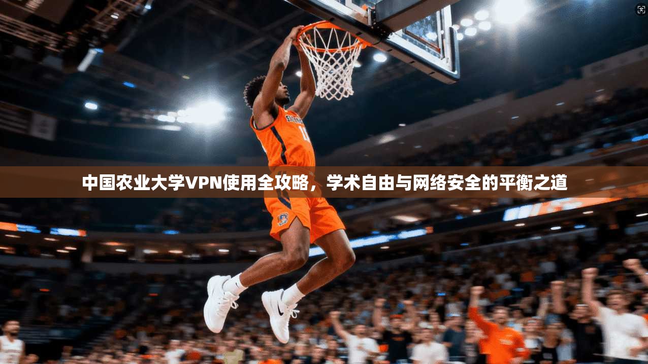 中国农业大学VPN使用全攻略，学术自由与网络安全的平衡之道